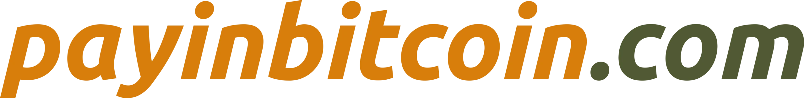 PayInBitcoin logo